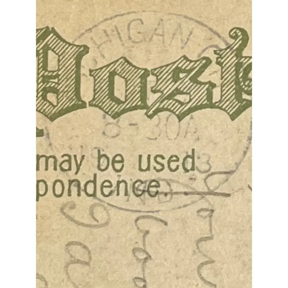 Antique 1913 Ephemera Postcard Birthday Wishes Embossed Metallic Marigolds SEE